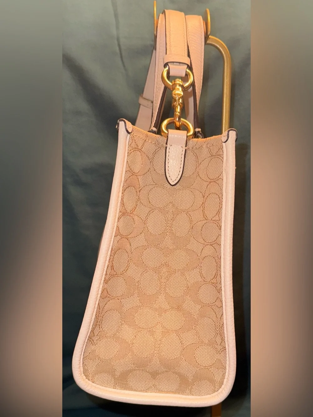 Coach signature canvas